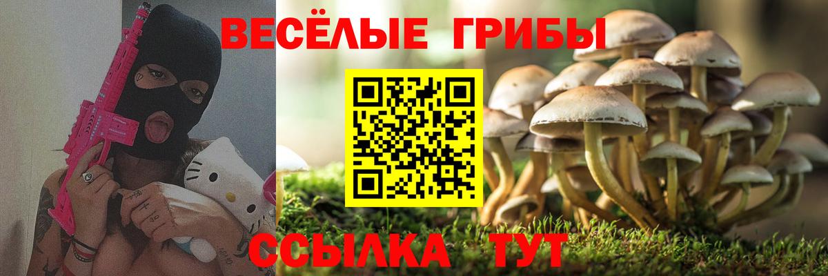 Каменск-Шахтинский  как найти наркотики  Вход с VPN  Галлюциногенные грибы мухоморы 